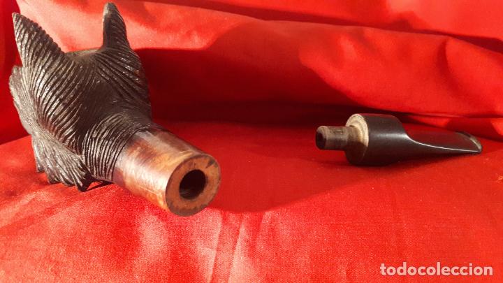Pipas de fumar: Pipa de brezo s. XIX. - Foto 7