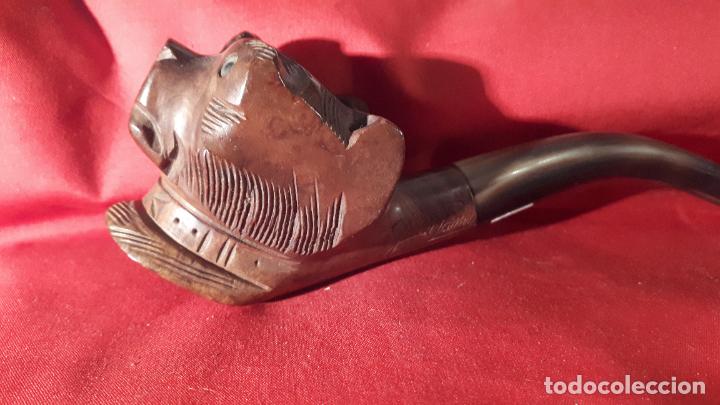 Pipas de fumar: Pipa de fumar . FRANCIA. - Foto 2
