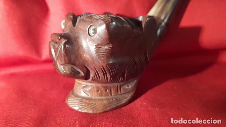 Pipas de fumar: Pipa de fumar . FRANCIA. - Foto 1
