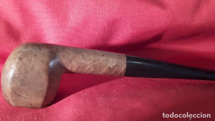 Pipas de fumar: Pipa de fumar . - Foto 3