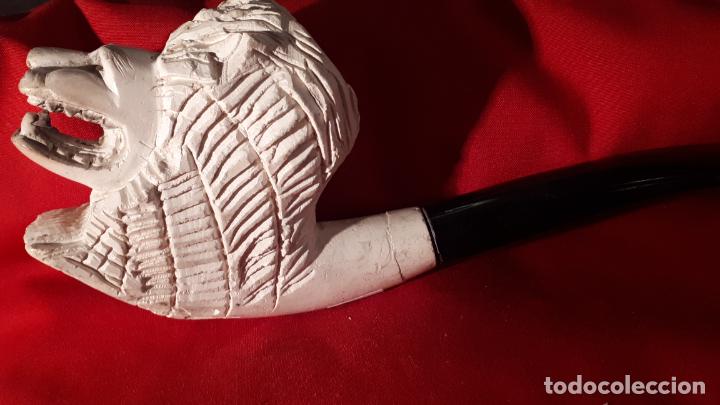 Pipas de fumar: Pipa de fumar de espuma de mar. - Foto 1