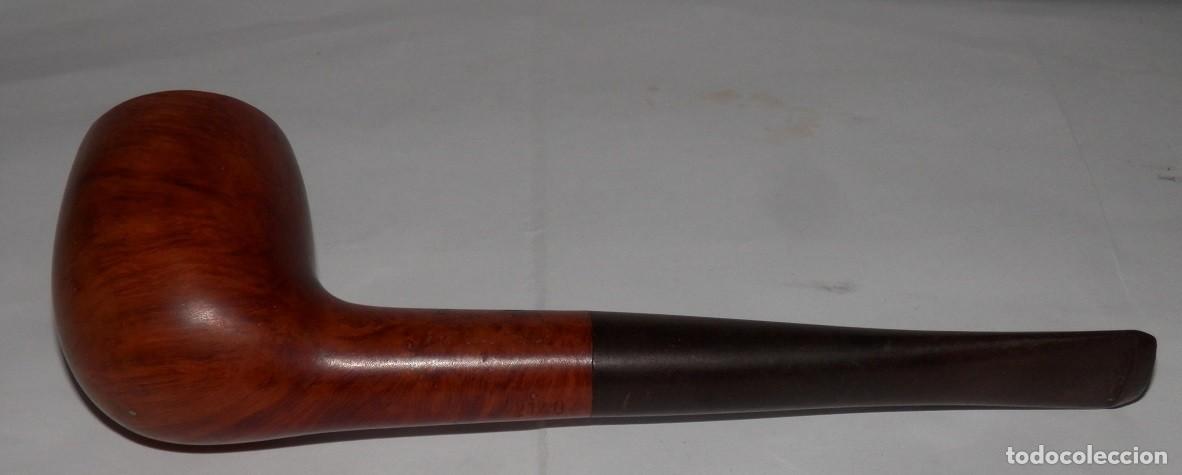 Pipas de fumar: PIPA DE LA MARCA GRAVINA - Foto 1