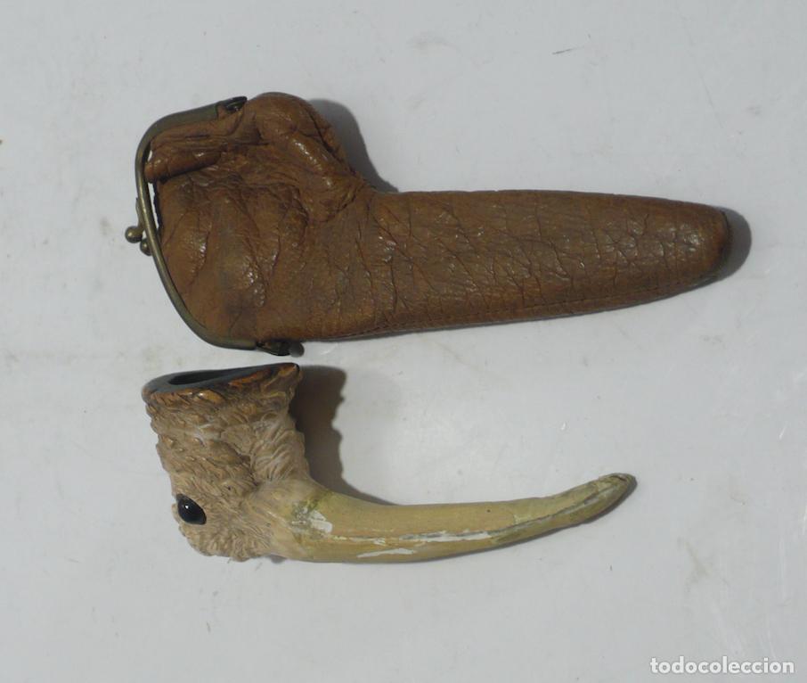 Pipas de fumar: pipa en forma de cabeza de ave - Foto 3