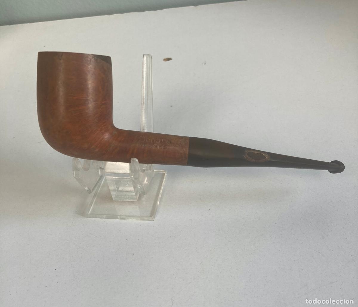 Pipas de fumar: PIPA DE FUMAR - CENDRA, BAGES - Foto 1