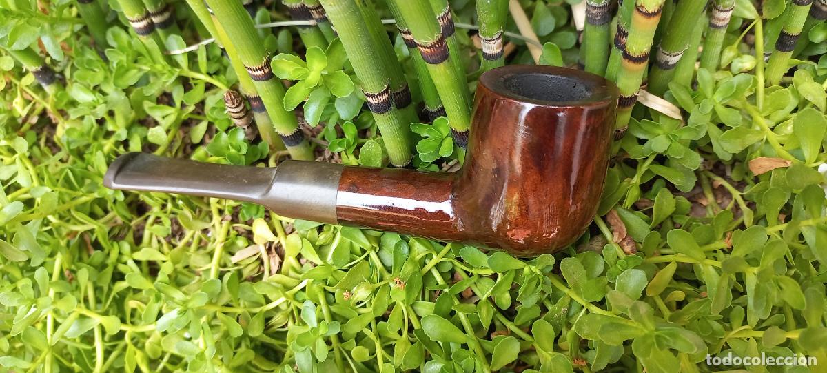 Pipas de fumar: Angelo Real Briar, pipa de fumar. - Foto 1