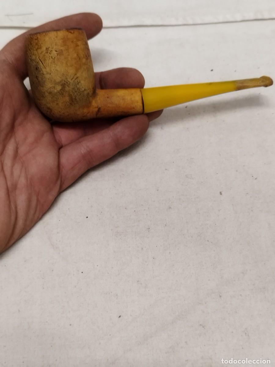 Pipas de fumar: Antigua pipa de fumar tabaco. - Foto 1