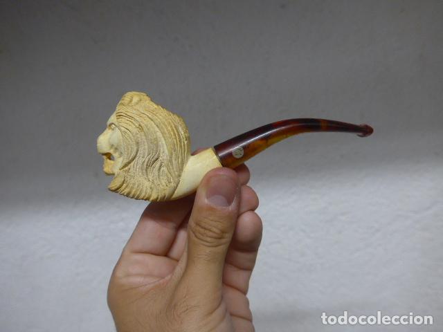 Pipas de fumar: Antigua pipa de fumar con rostro de cabeza de leon, original, Espuma de mar.