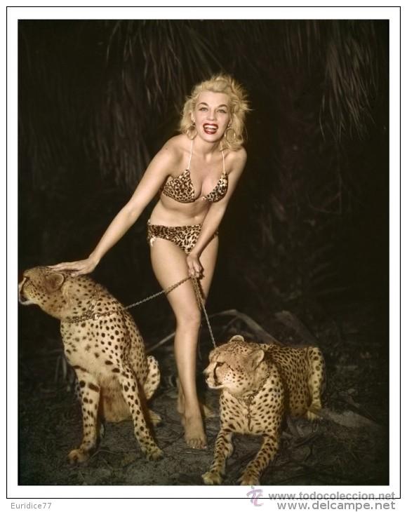Postales: Bunny Yeager POSTAL - Foto 1