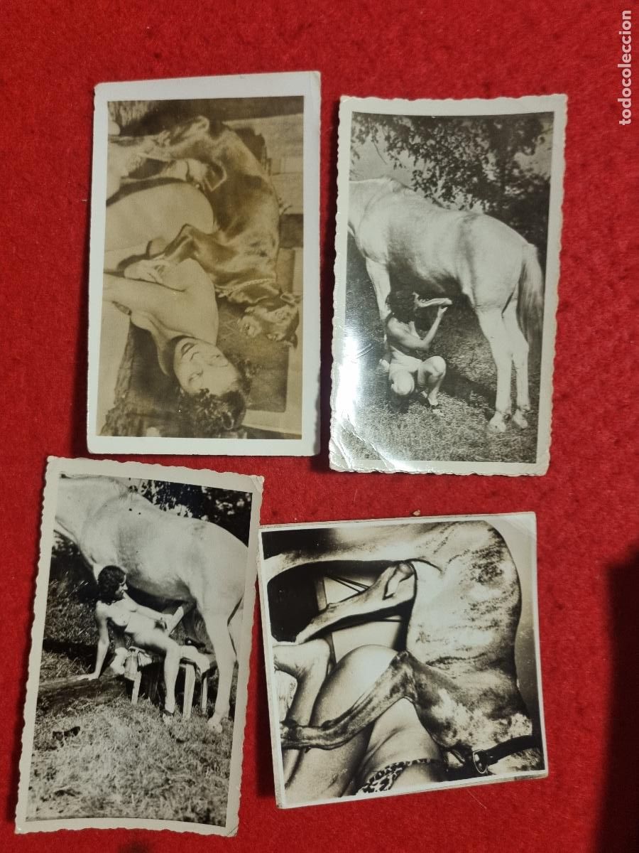 Postales: LOTE DE 4 FOTOS EROTICAS ZOOFILIA ANIMALES ANTIGUAS ORIGINAL P2586
