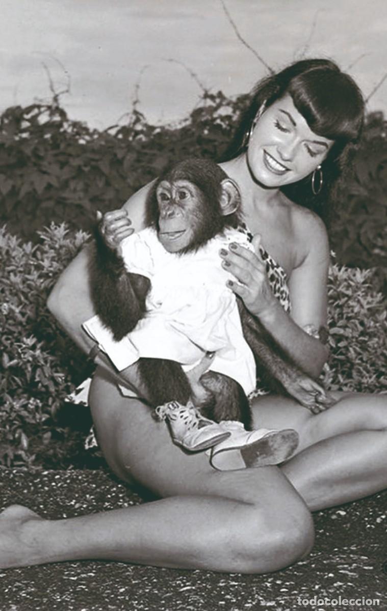 Postales: BETTIE PAGE PHOTOPOSTCARD rp 27