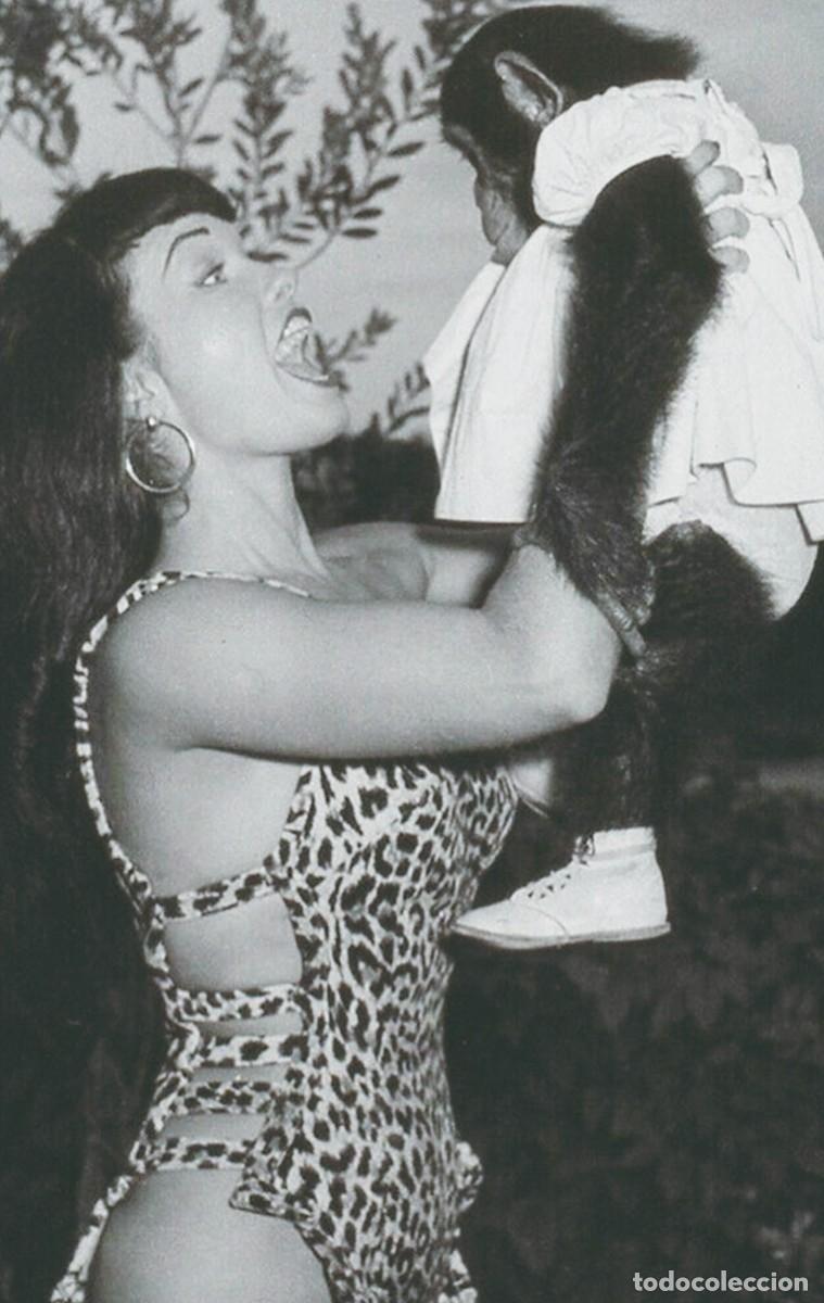 Postales: BETTIE PAGE PHOTOPOSTCARD rp 28