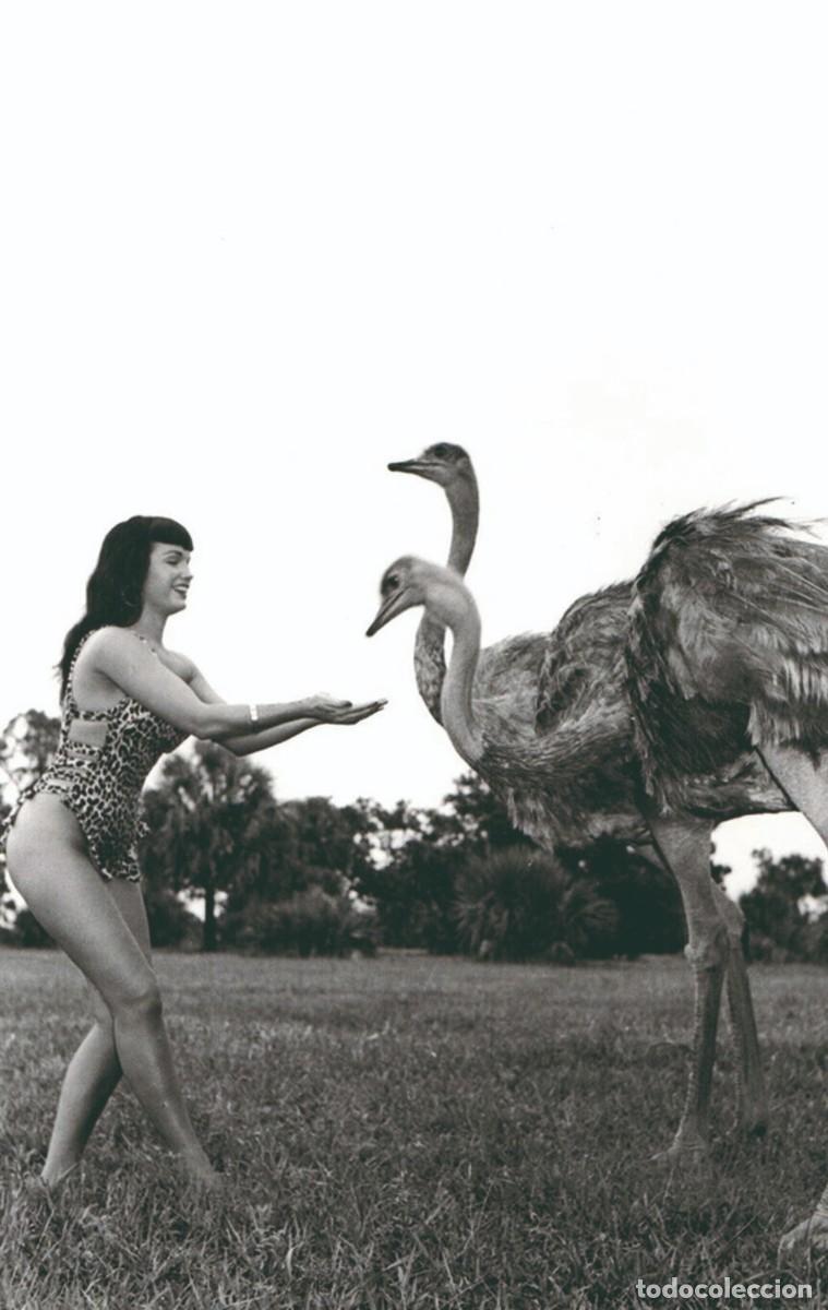 Postales: BETTIE PAGE PHOTO POSTCARD- 54