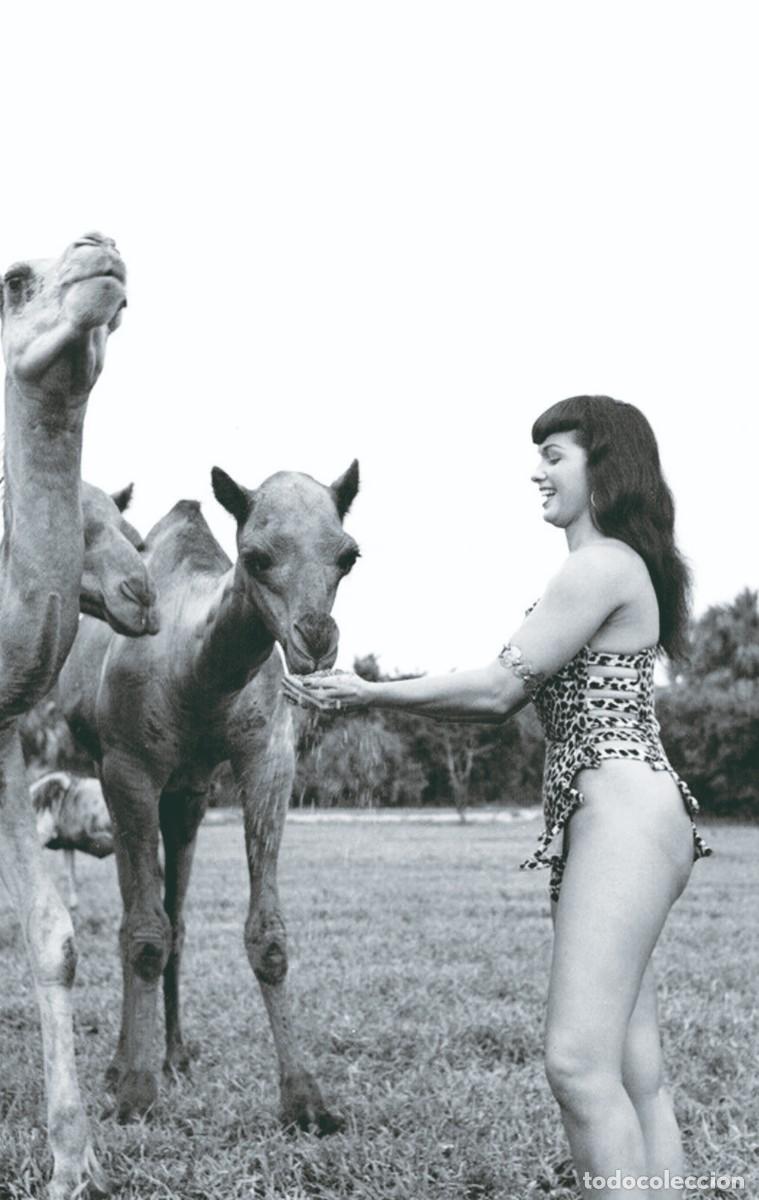 Postales: BETTIE PAGE PHOTO POSTCARD- 55