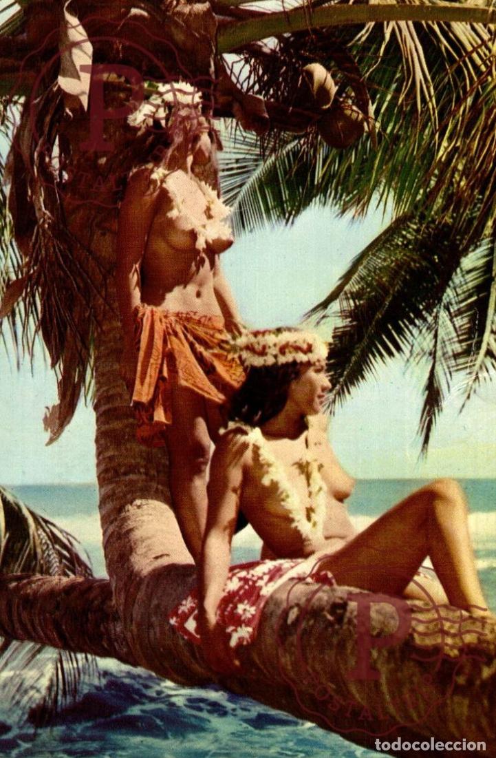 Postales: TAHITI POLYNESIE FRANCAISE VAHINE jeunes beautes TAHITIENNES PIN UP FEMME. Pin Up Ups Femme Bikini &eacute;