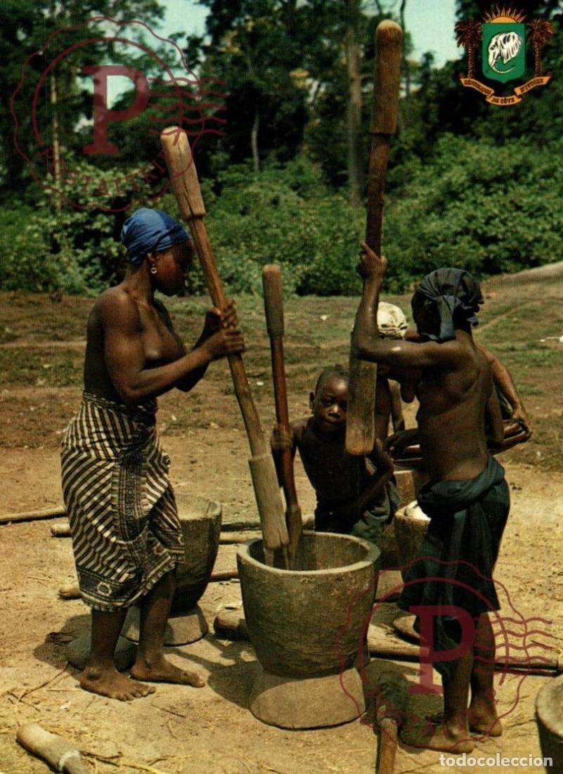 Postales: R&eacute;publique de la COTE DIVOIRE - r&eacute;gion de TOUBA - Pilleuses de mil