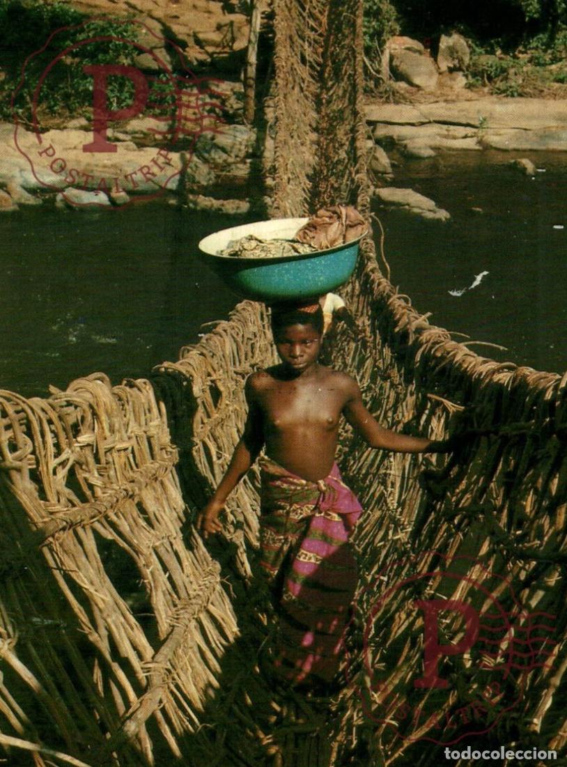 Postales: AFRIQUE NU FEMININ PONT DE LIANES