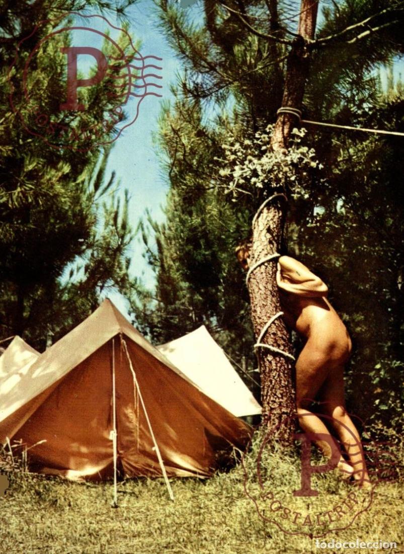 Postales: RARE MONTALIVERT les BAINS - Centre H&eacute;lio Marin de Montalivert - Camping naturiste au milieu des Pin