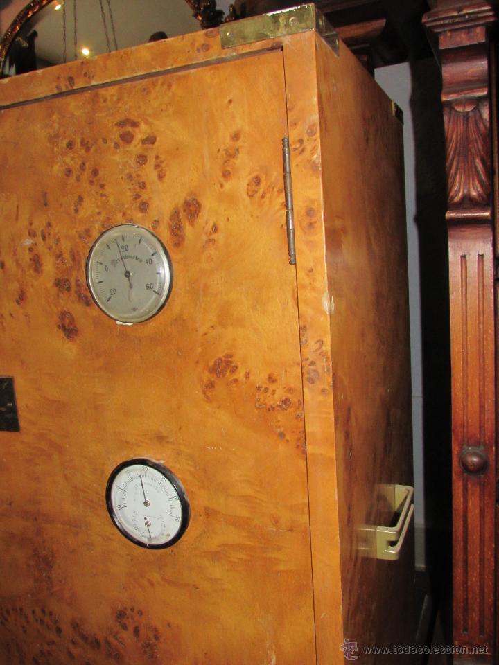 Cajas de puros: MUEBLE PARA PUROS DE MADERA DE RA&Iacute;Z - Foto 4