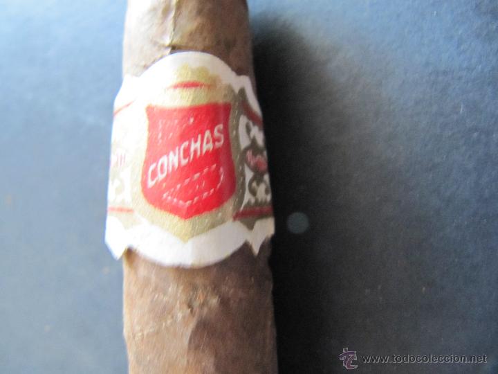 Cajas de puros: ANTIGUO CIGARRO PURO CONCHAS - Foto 1