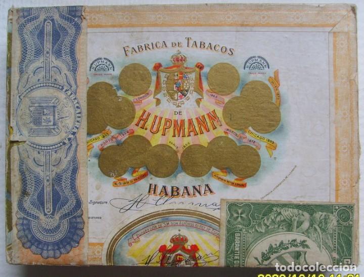 Cajas de puros: H.UPMANN -25 Petit Upmann. Cellophane -HABANA