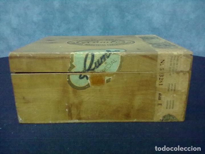 Cajas de puros: RUMBO 50 REGALIAS CAJA PUROS - Foto 1