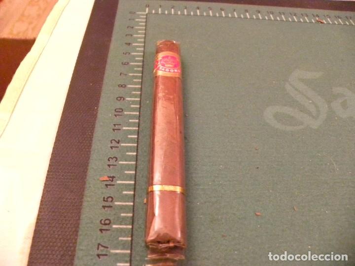 Cajas de puros: CIGARRO PURO TAGORO - Foto 1