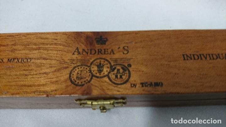 Cajas de puros: PURO INDIVIDUAL ANDREAS EN CAJA, M&Eacute;XICO - Foto 2