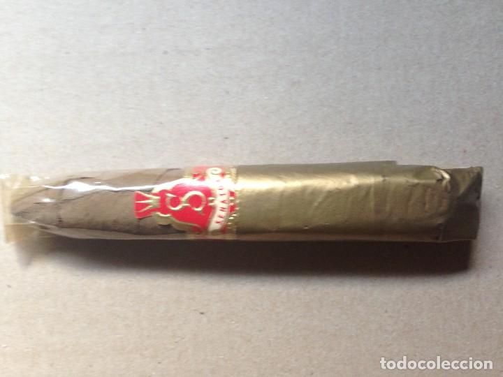 Cajas de puros: CIGARRO PURO - SENATOR - - Foto 1