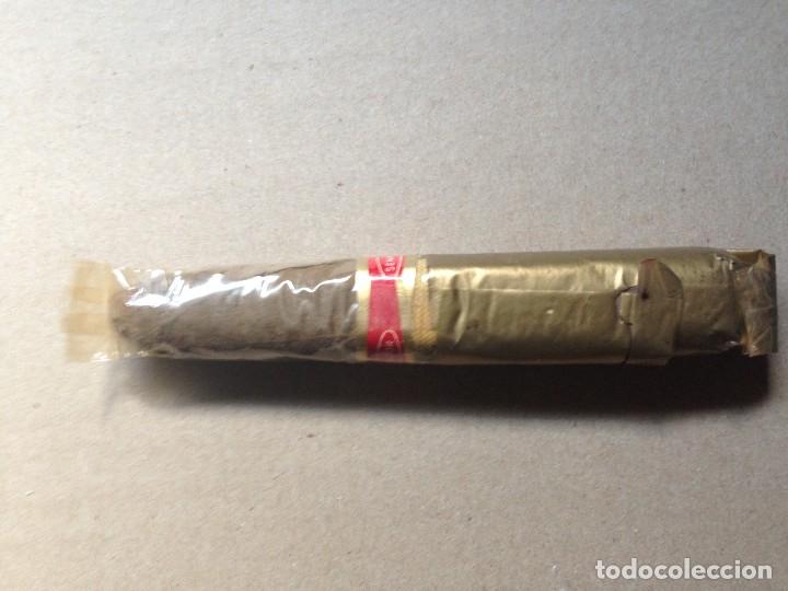 Cajas de puros: CIGARRO PURO - SENATOR - - Foto 2