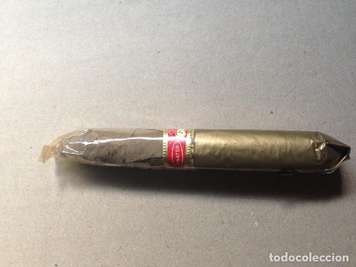 Cajas de puros: CIGARRO PURO - SENATOR - - Foto 3
