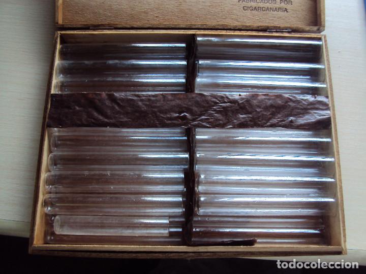 Cajas de puros: CAJA PUROS - Foto 2