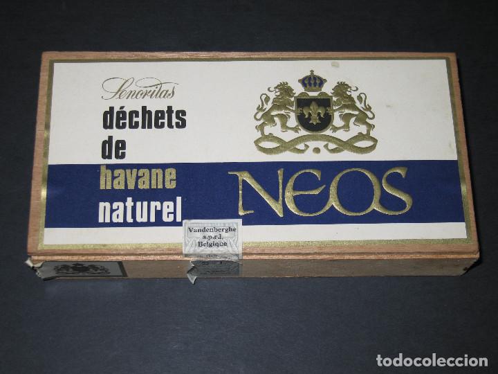 Cajas de puros: CAJA DE PUROS - NEOS - Foto 1