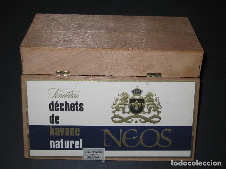 Cajas de puros: CAJA DE PUROS - NEOS - Foto 4