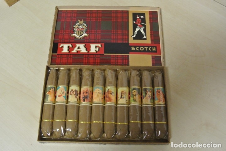 Cajas de puros: CAJA DE PUROS TAF , SCOUTCH - Foto 2