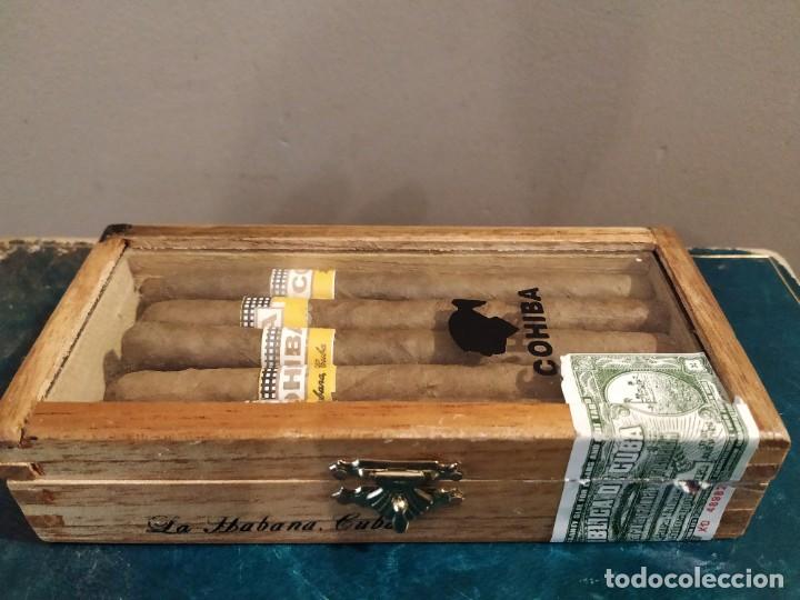 Cigar Boxes: CAJA COHIBA PANETELAS - HAVANS MADE IN CUBA - Photo 1 - 184857391
