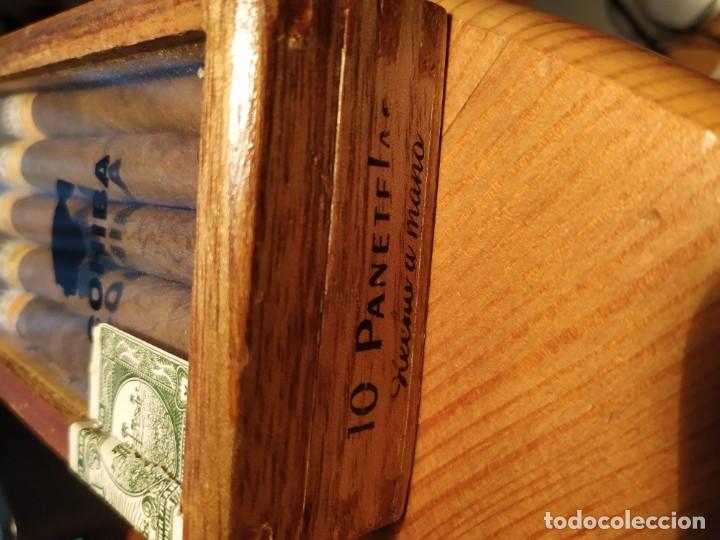 Cigar Boxes: CAJA COHIBA PANETELAS - HAVANS MADE IN CUBA - Photo 6 - 184857391