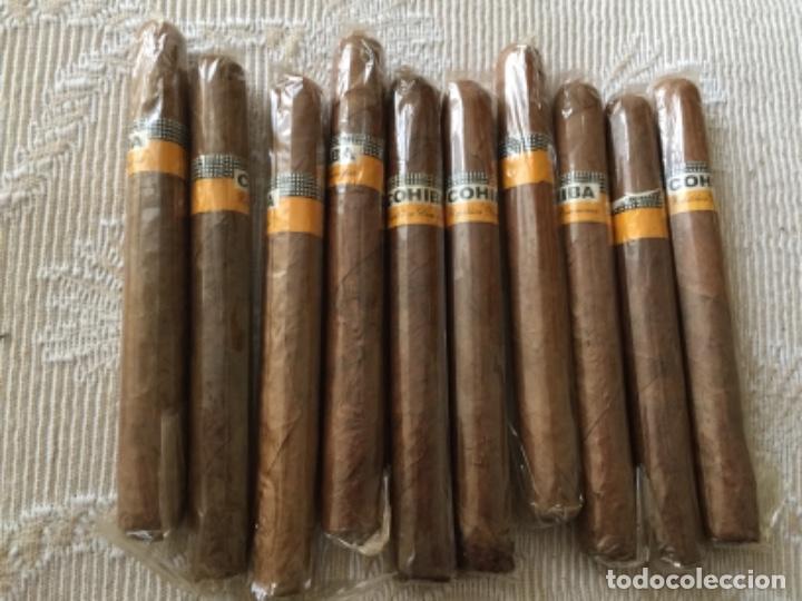 Lote De 10 Puros Cohiba Republica Dominicana Sold At Auction 195636170