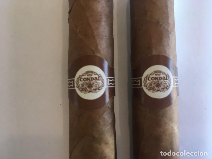Cajas de puros: puros Condal, Tabaco, lote 2 - Foto 2