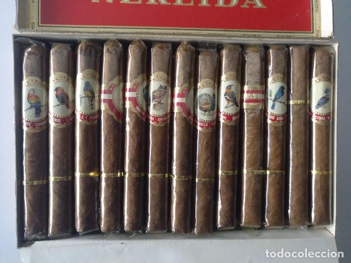 Cajas de puros: NEREIDA. CAJA DE PURO - Foto 6