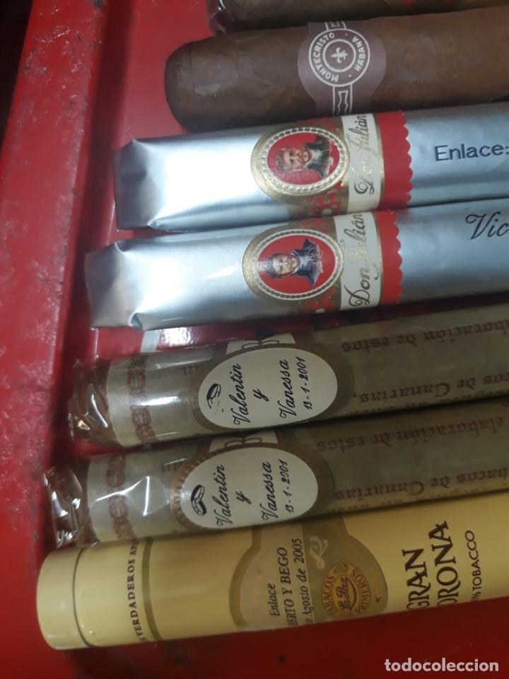 Cajas de puros: LOTE DE 15 PUROS..MONTECRISTO ECT. - Foto 2