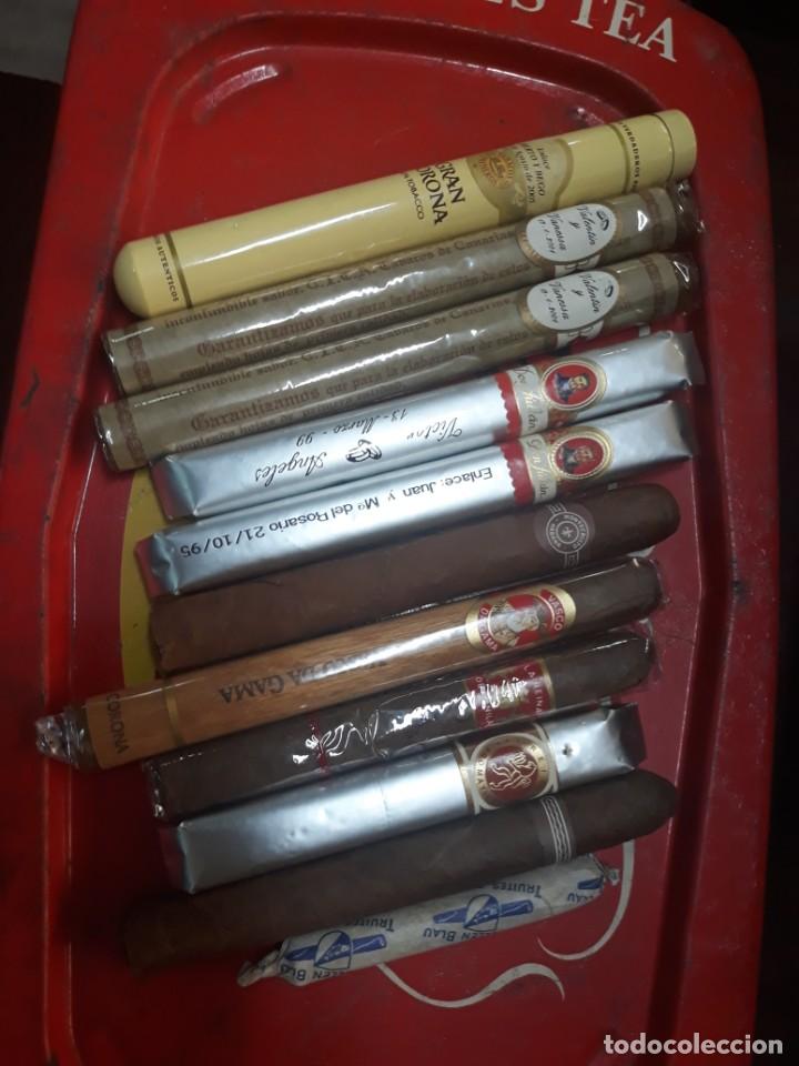 Cajas de puros: LOTE DE 15 PUROS..MONTECRISTO ECT. - Foto 4