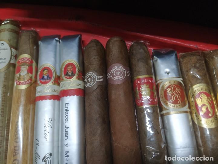 Cajas de puros: LOTE DE 15 PUROS..MONTECRISTO ECT. - Foto 9