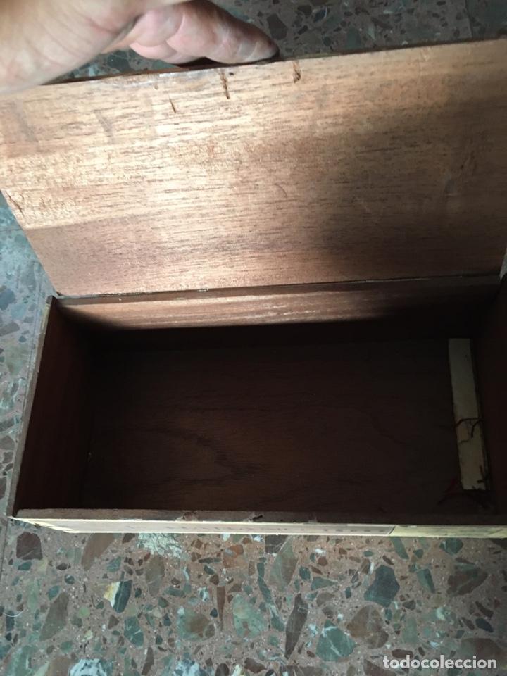 Cajas de puros: Caja de puros de museo - Foto 3