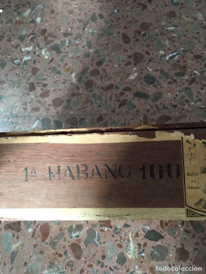 Cajas de puros: Caja de puros de museo - Foto 4