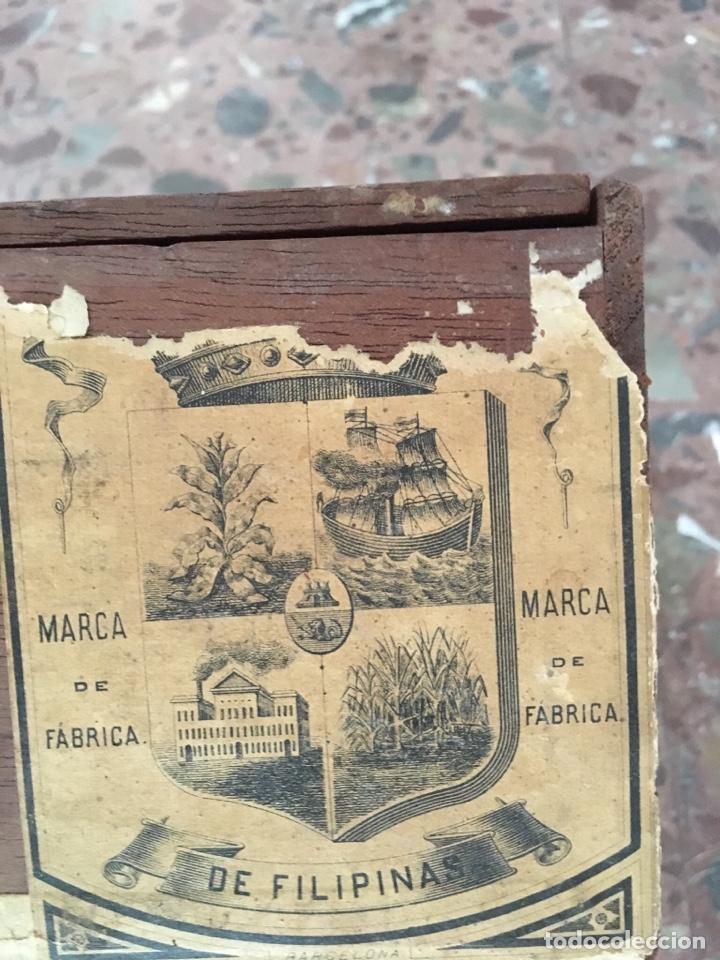 Cajas de puros: Caja de puros de museo - Foto 5