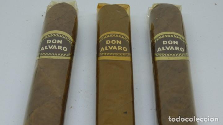 Cajas de puros: 3 PUROS DON ALVARO CON PRECINTO . - Foto 2
