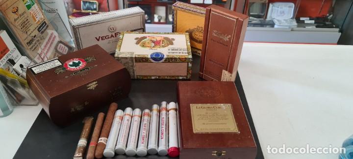 Cajas de puros: lote cajas de puros varios - Foto 1