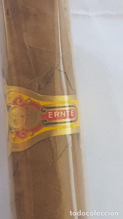 Cajas de puros: PURO ERNTE. 1970 - Foto 3