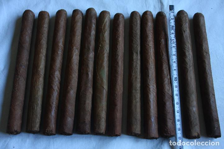 Cajas de puros: MAZO 12 PUROS - Foto 2