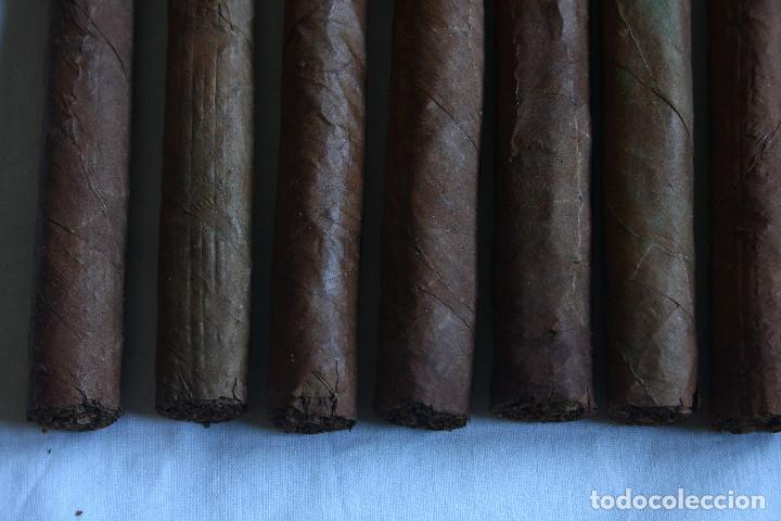 Cajas de puros: MAZO 12 PUROS - Foto 3